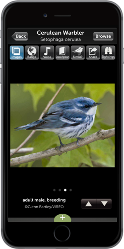 audubon app